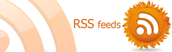 RSS Feed Basics