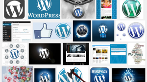 wordpress-screenshot